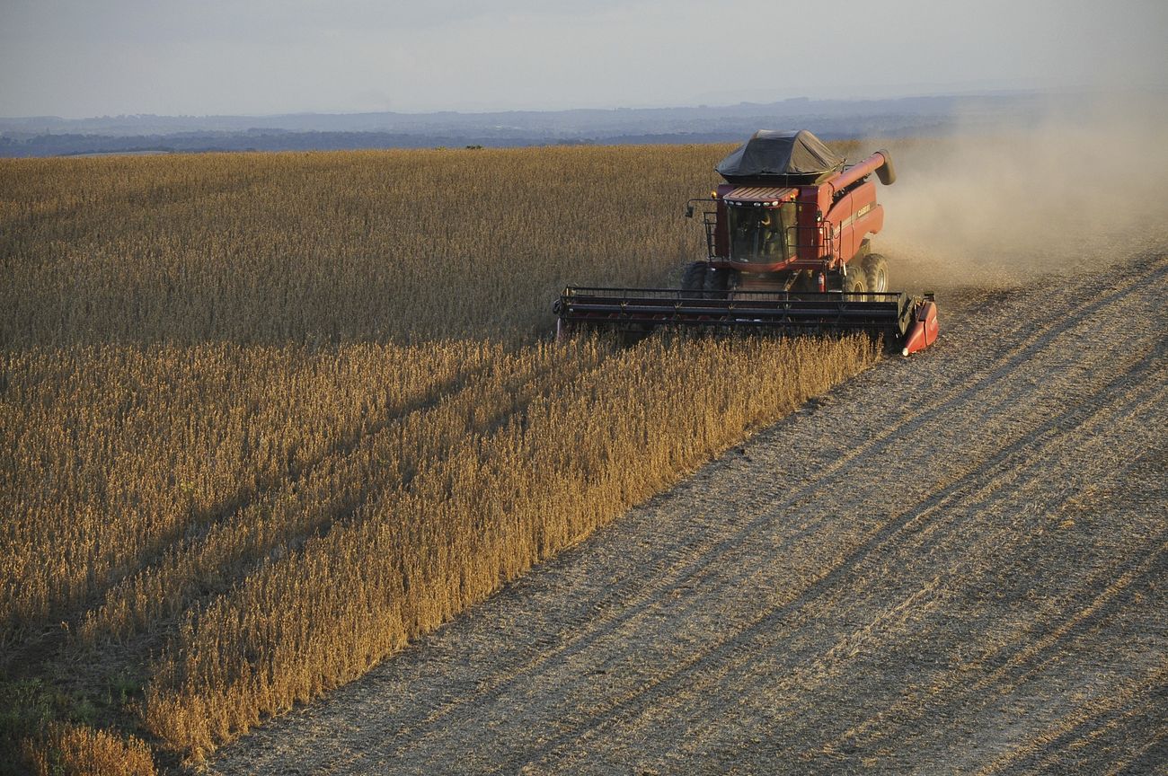 El Camino hacia una Agricultura más Sostenible: Claves y Beneficios